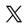 X icon